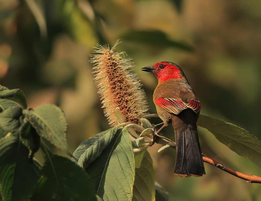 金年会官方网站-SデC薮%